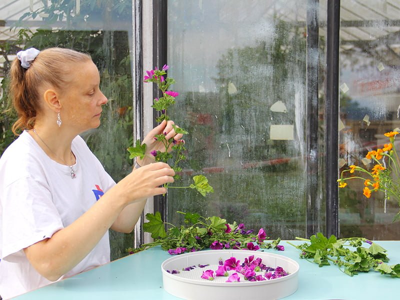 3.4. De Sperwer Onze Diensten Dagcentrum 54 Verhaal Crea Nadine